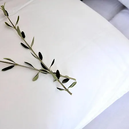 Simons Nest * Corfu (city)